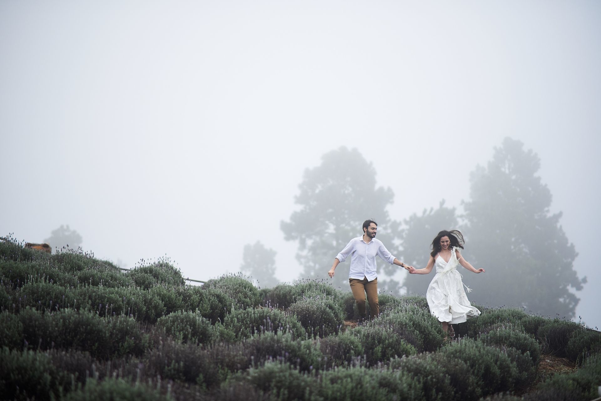 Foto Ensaio Pre Wedding Renata e Miller em Campos do Jordão - SP Foto Ensaio Pre Wedding Renata e Miller em Campos do Jordão - SP - Imagem 53
